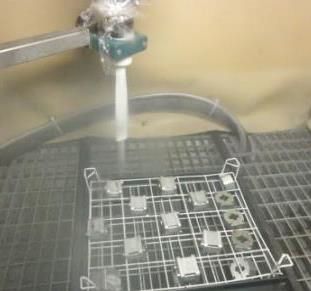 FERROECOBLAST